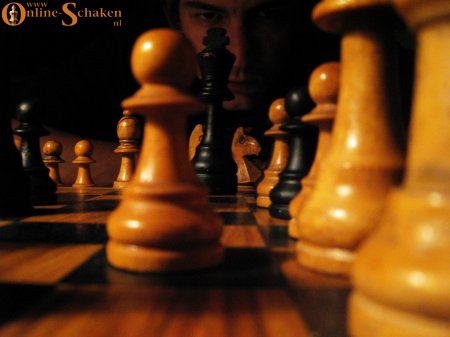[chess009-796435.jpg]