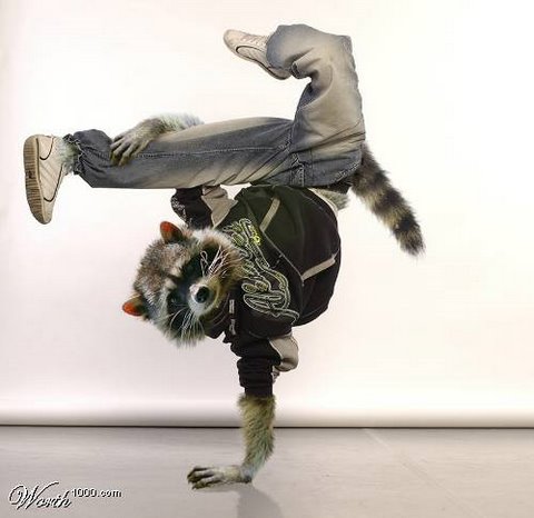 [dancing+animals+flickzzz.com+012-738505.jpg]