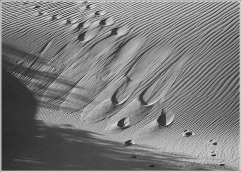 [flickzzz.com+amazing+black+and+white+desert+photographies+015-754626.jpg]