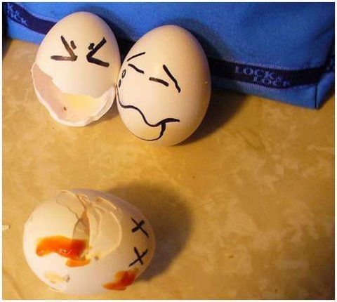 [flickzzz.com+these+eggs+are+alive+009-782117.jpg]