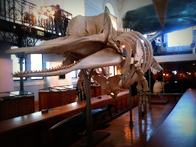 Moving & Eating: May 2010