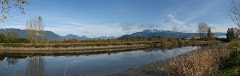 Golden ears, MTN