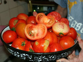 [domates[1].jpg]