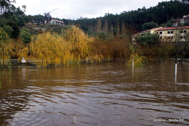 [antoniopovinho_2956.JPG]