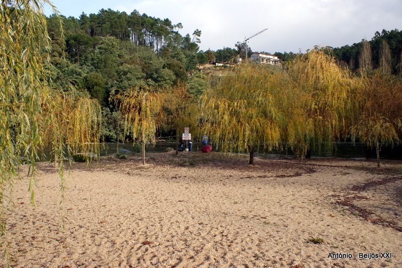 [antoniopovinho_2955.JPG]