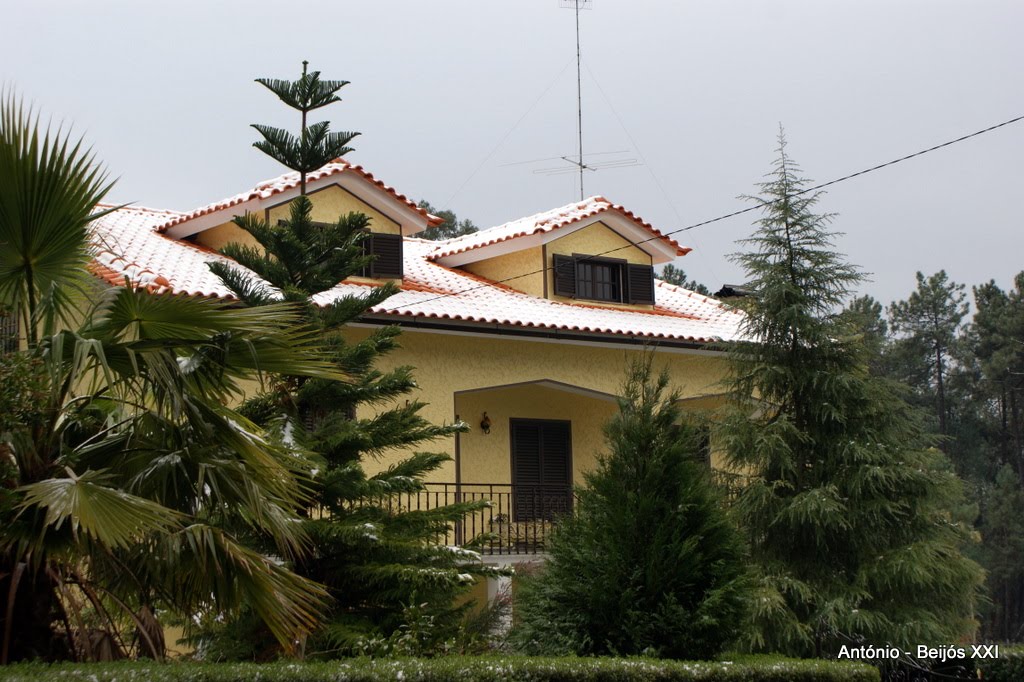 [antoniopovinho_3003.JPG]