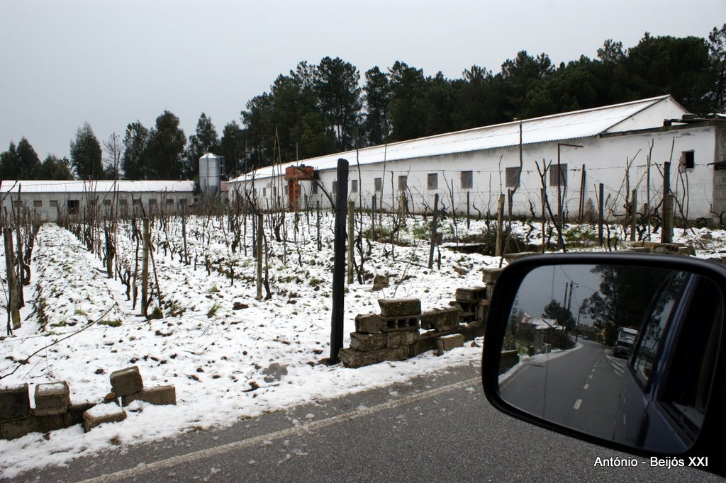 [antoniopovinho_3000.JPG]