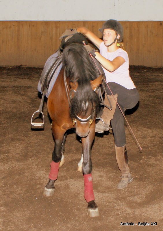 [antoniopovinho_2941.JPG]