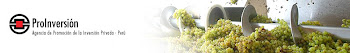 PRO INVERSION PERU