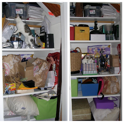 closet, before and after - with kittens