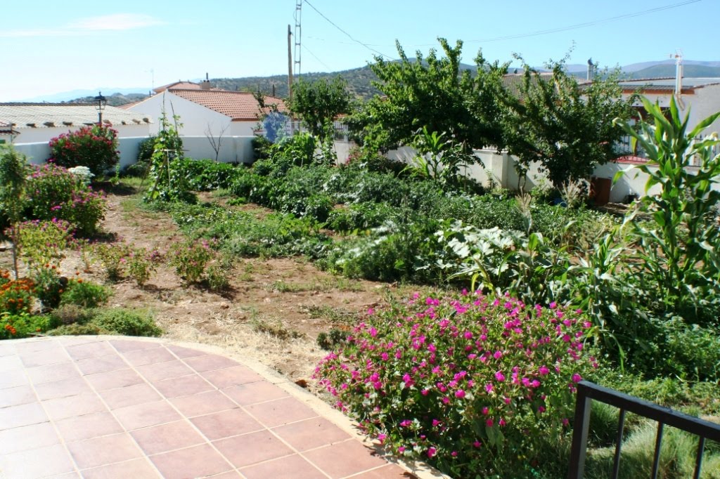 Connie s Blog Blog De Connie Will You Be Blown Away Te Llevar El Viento 