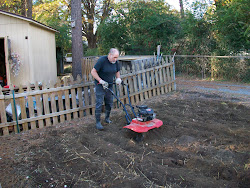 garden daddy mucked tilled coop urban chicken farm gets site into
