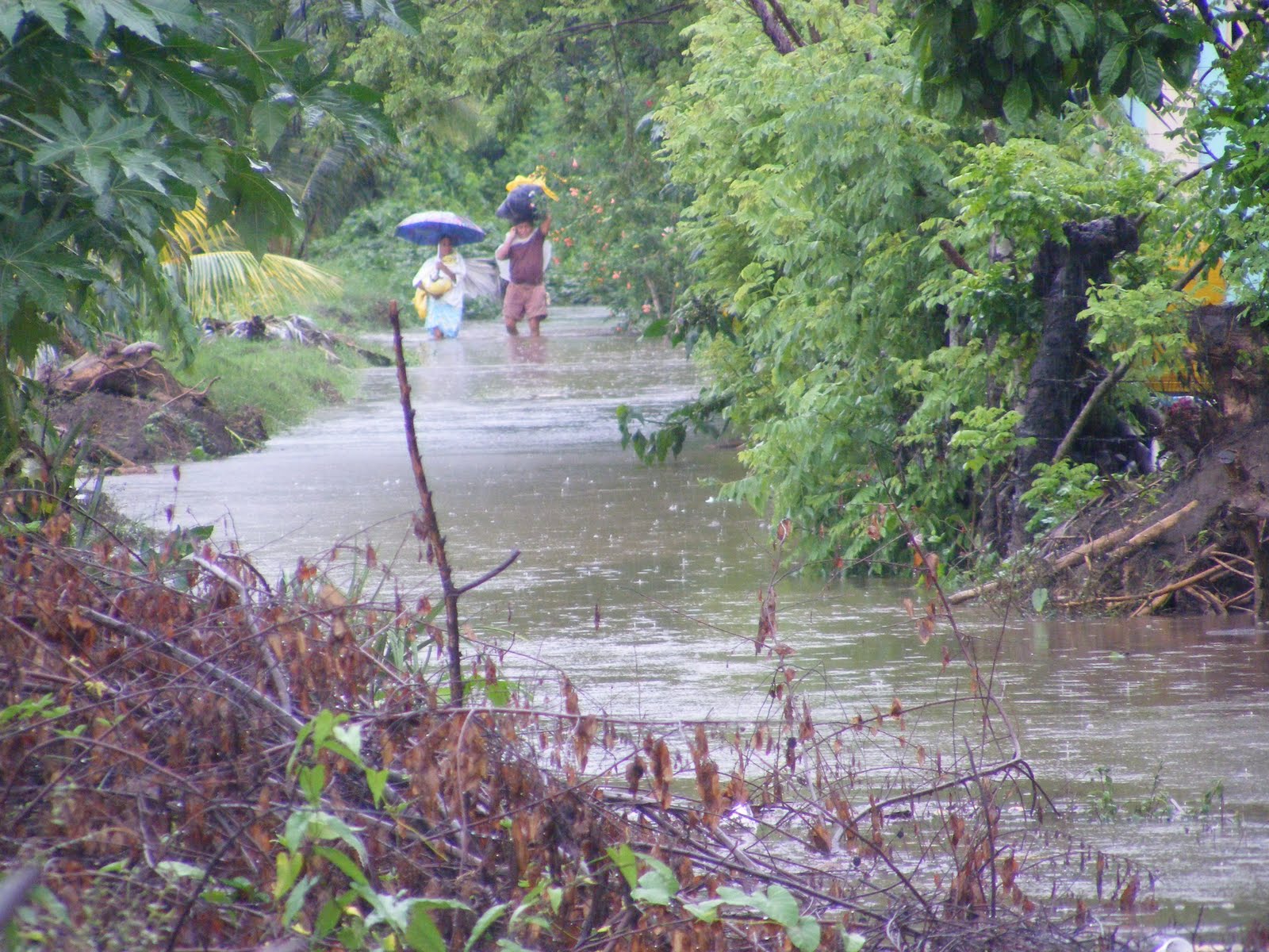 Reportero sin frontera Se desbordó el suchiate y en Tapachula hubo alerta