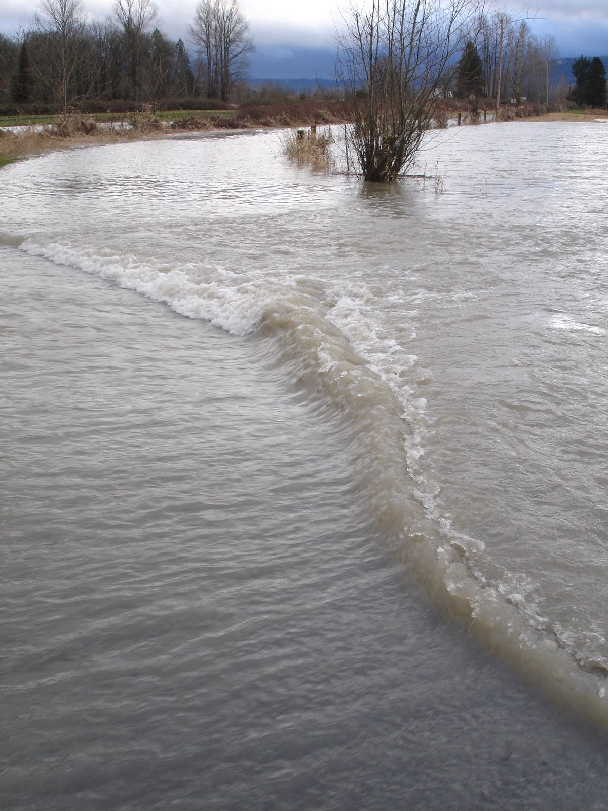Daniel Mount Gardens HYDRAULIC JUMP