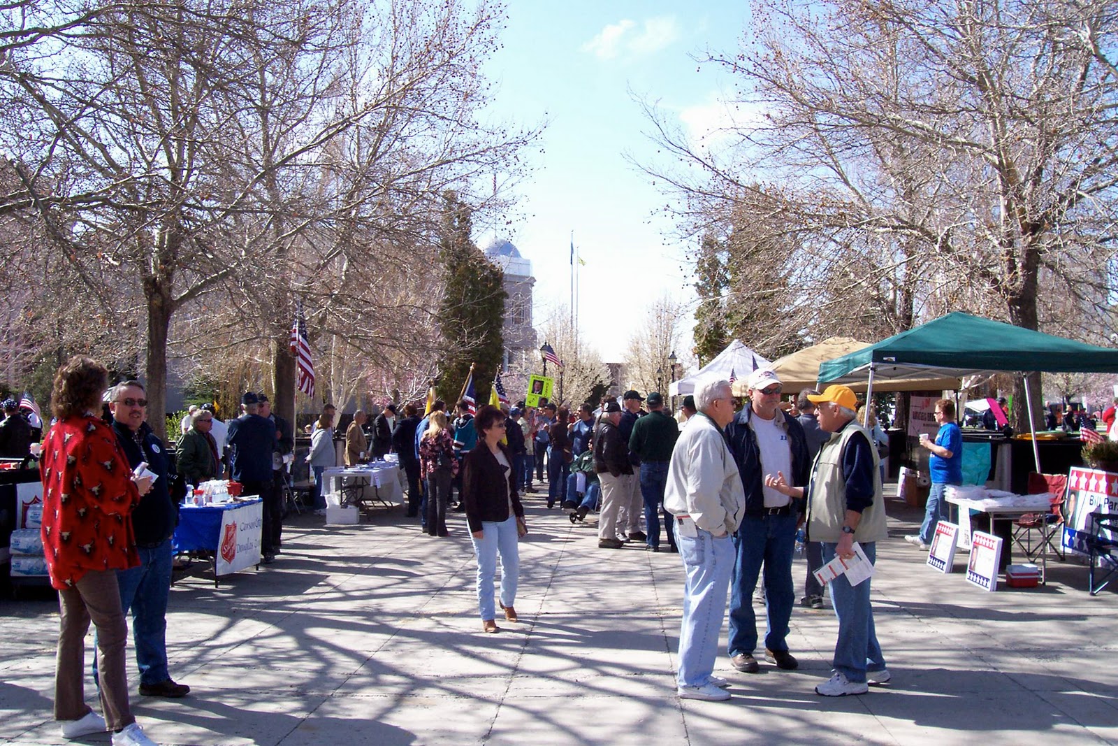 Woodsterman Carson City, NV Tea Party