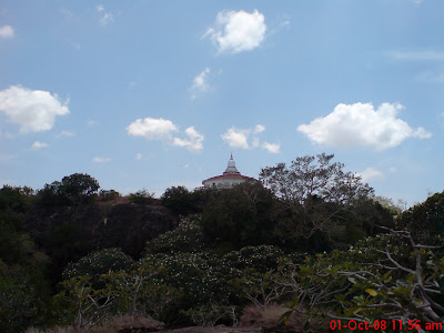 DSC00037.JPG
