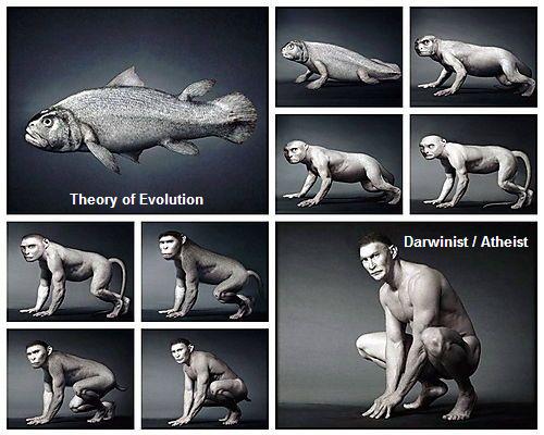 theory_of_evolution.jpg