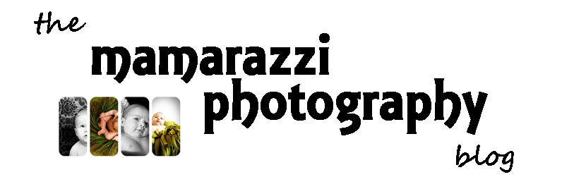the mamarazzi photography blog