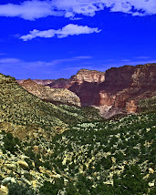 The Canyon