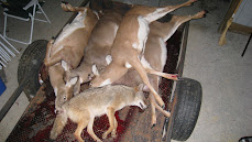 Body Count -ANIMALS KILLED ANNUALLY By Sportsman/Hunters