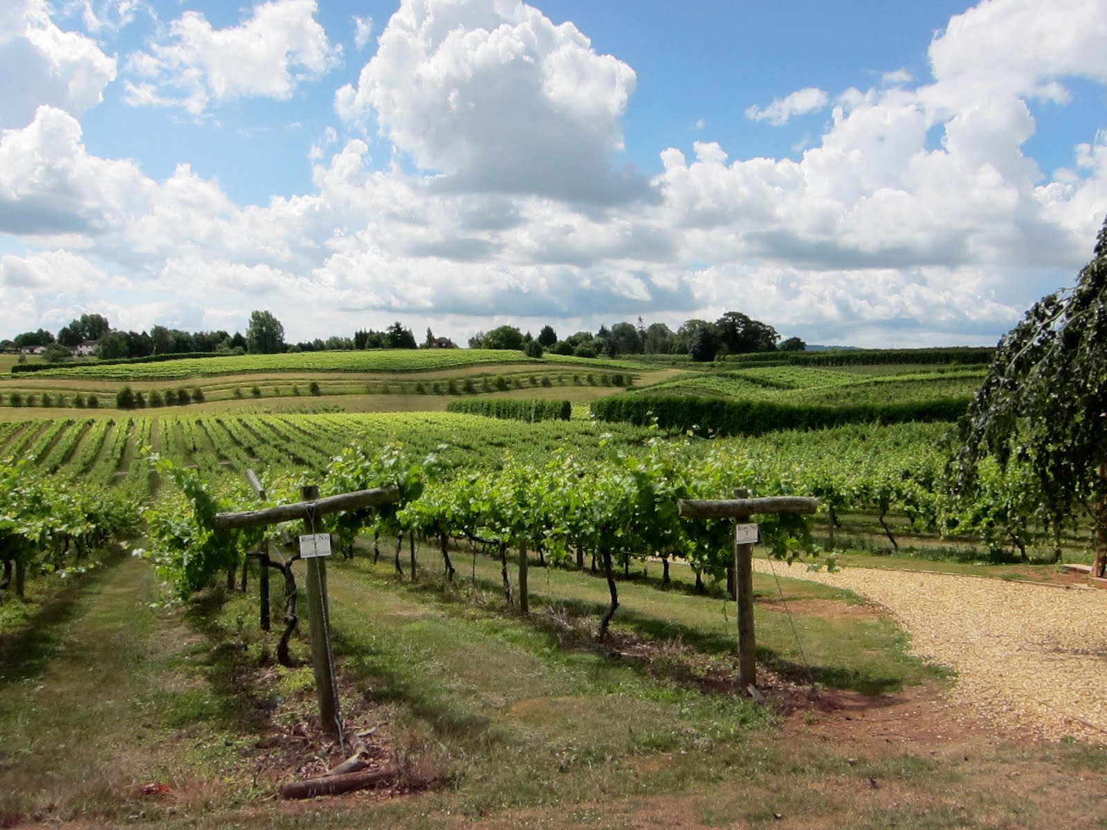 Wines & Rose England Winery