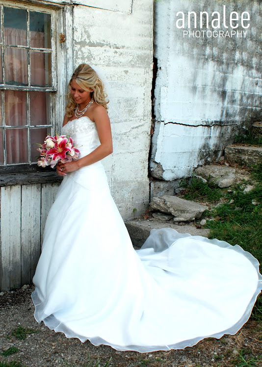 bride full wall v
