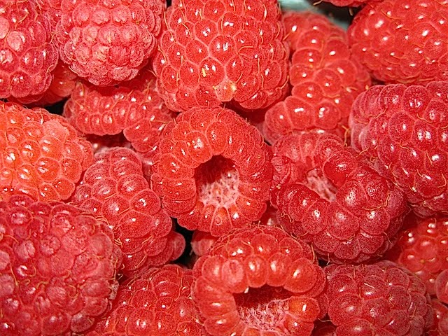 Haf Pint Raspberry Canning Chris