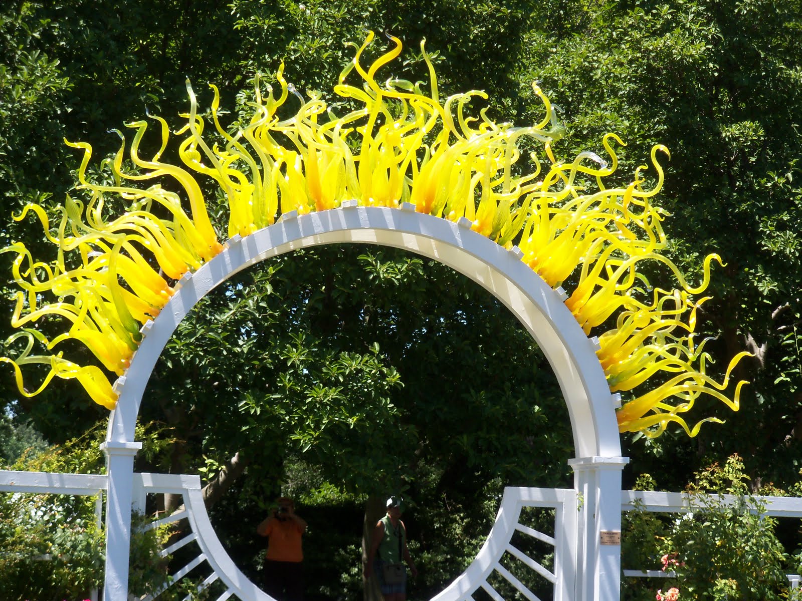 Tutorial Trials Missouri Botanical Gardens; Sculptures by Chihuly