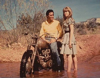[elvis_triumph.jpg]
