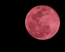 Luna Roja Sobre el Mar Negro.
