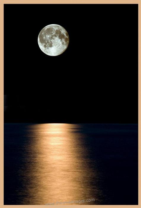 Wallpapers: Wallpapers