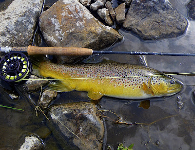 Jack’s Fly Fishing Day on the Big Hole