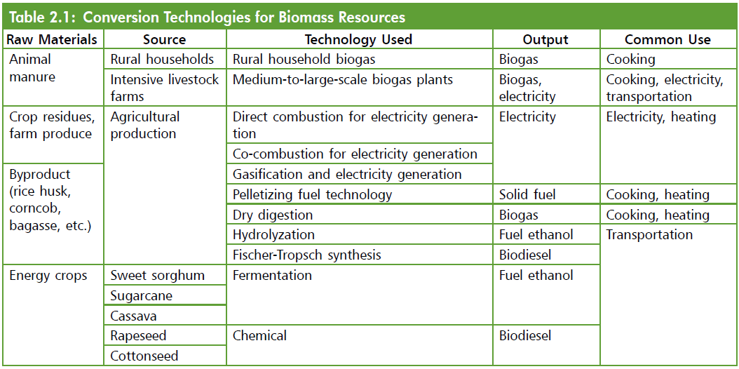 Slash Carbon: Conversion Technologies for Biomass Resources