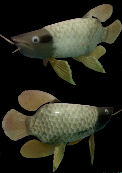 IKAN AROWANA PUTIH