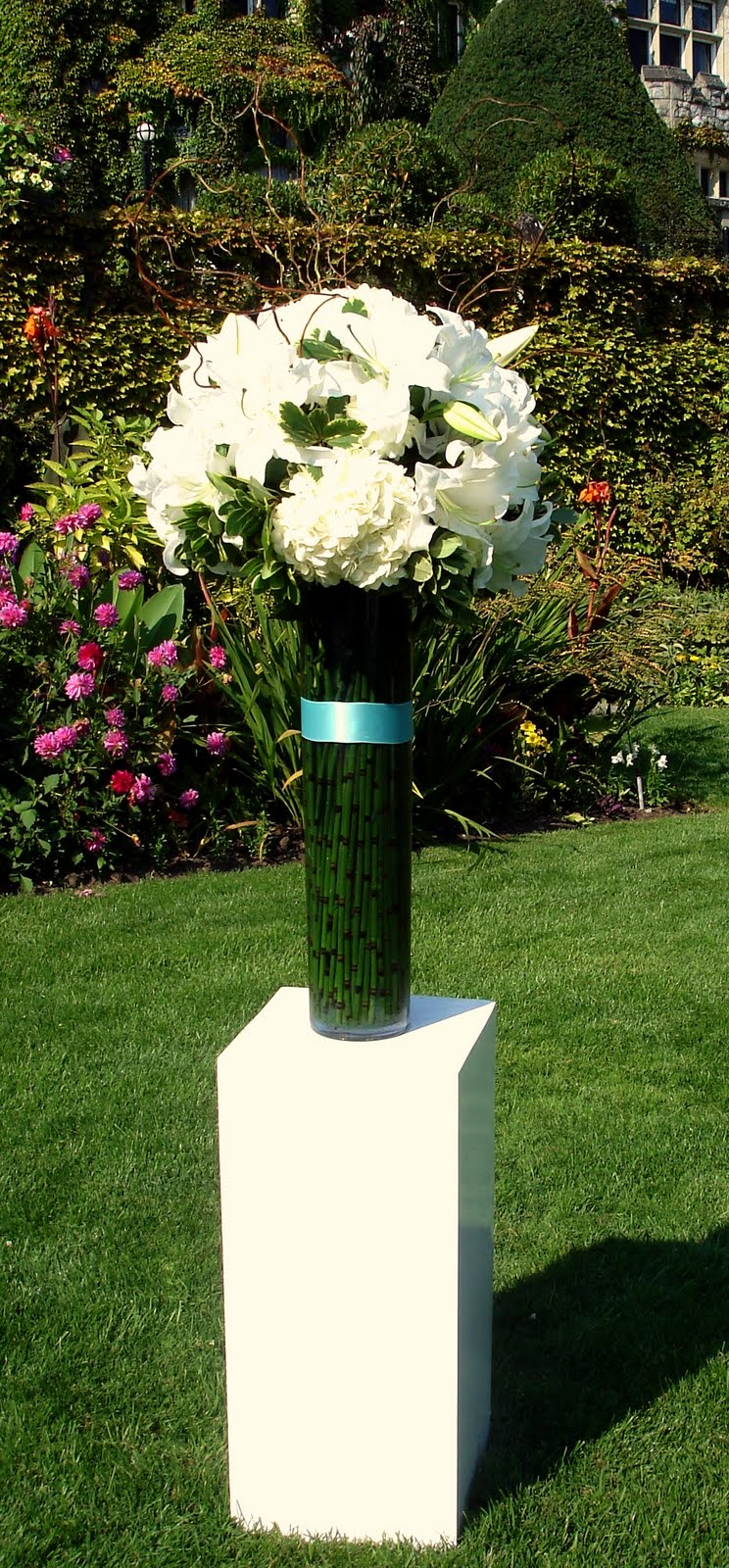 [Aug+30+2009+016.jpg]