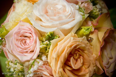 C+%26+D+Wedding 12 - Daria and Chris - Aug 23rd, 2009
