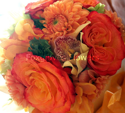 Kelly and Kelly - Sept 4th 2010 Aug+2010+313 p - Kelly and Kelly - Sept 4th 2010