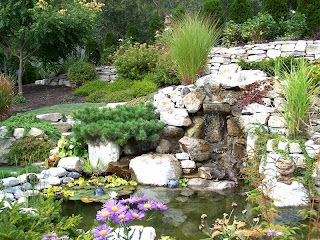 gooseny...: a little bit of feng shui garden...
