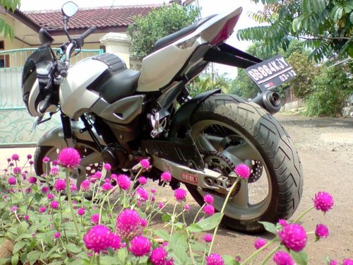 BAJAJ%2BPULSAR%2B180CC%2Bmodification.jpg