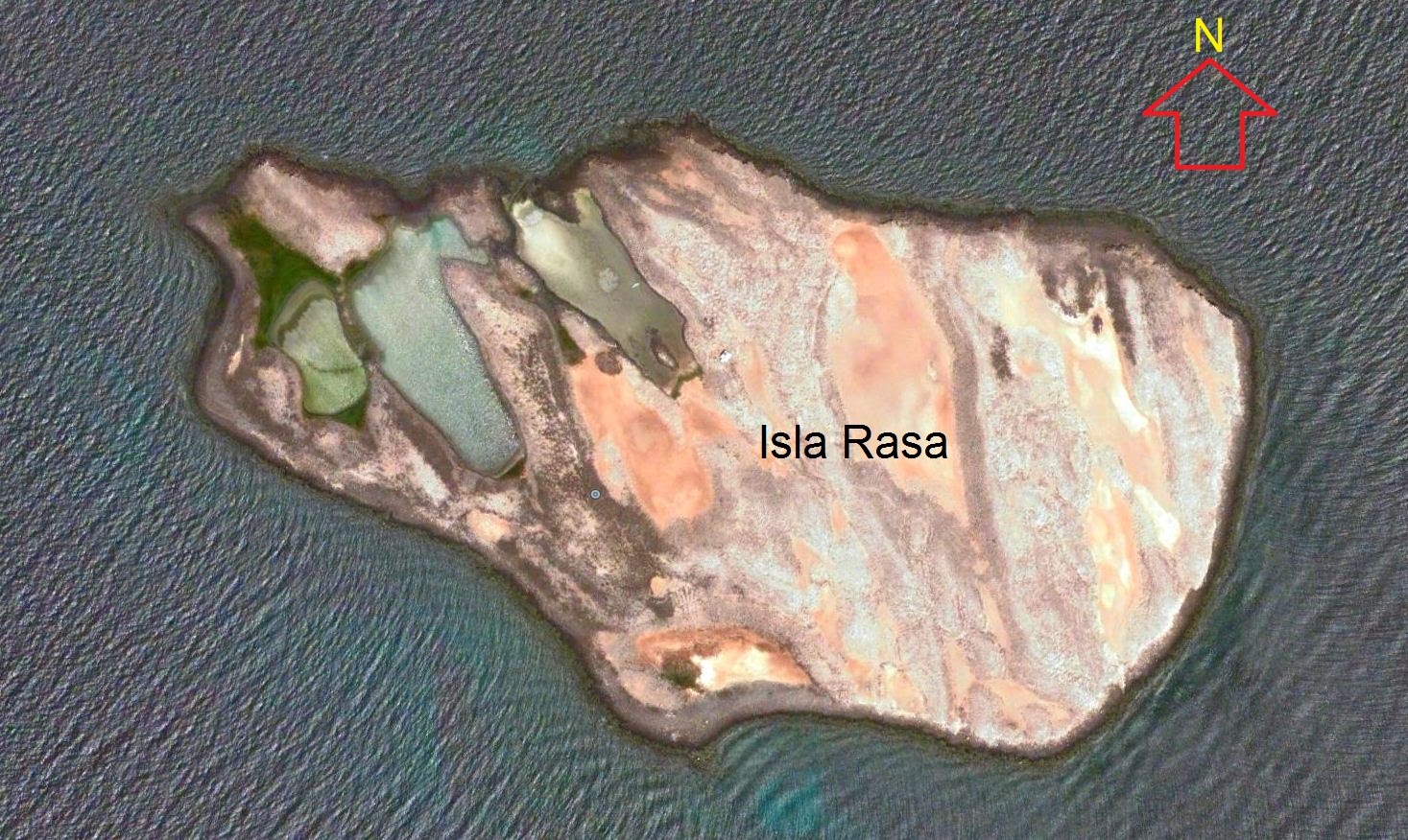 El Rosario, Baja California, México.: ISLA RASA, GOLFO DE CALIFORNIA ...