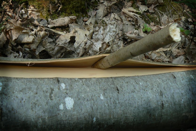 Where Wolves Run.... Making Bark Containers