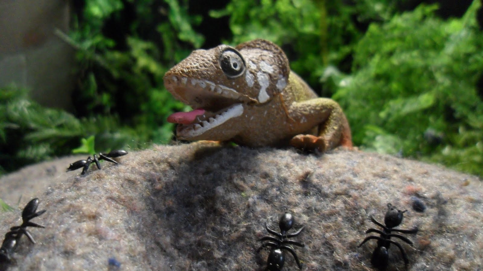 Reality Forest Big Ant Eating Lizard