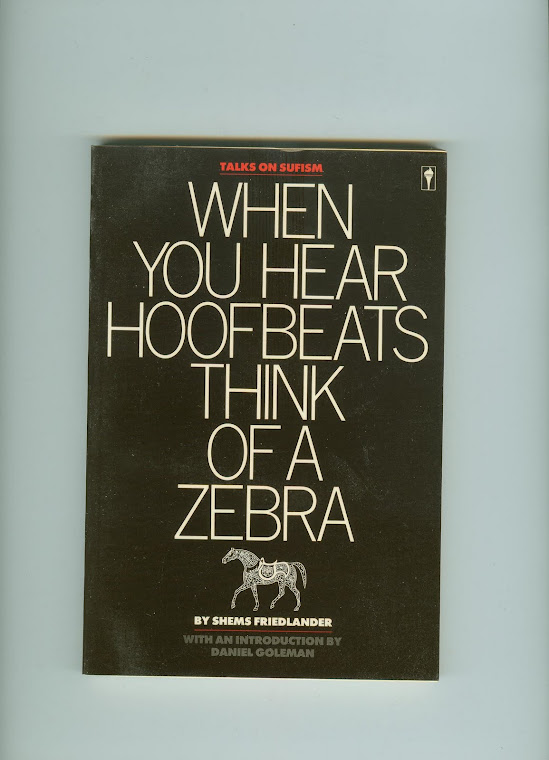 WHEN YOU HEAR HOOFBEATS THINK OF A ZEBRA