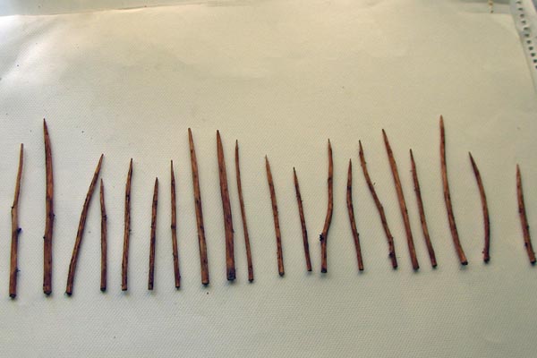 [scruberpines101.jpg]