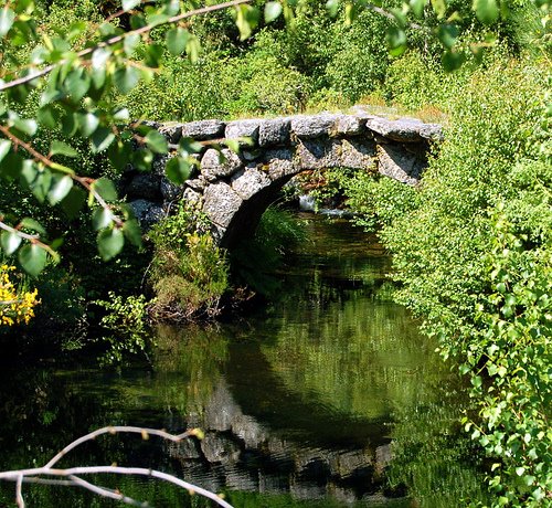 [534472607_afd3196ecc.jpg]