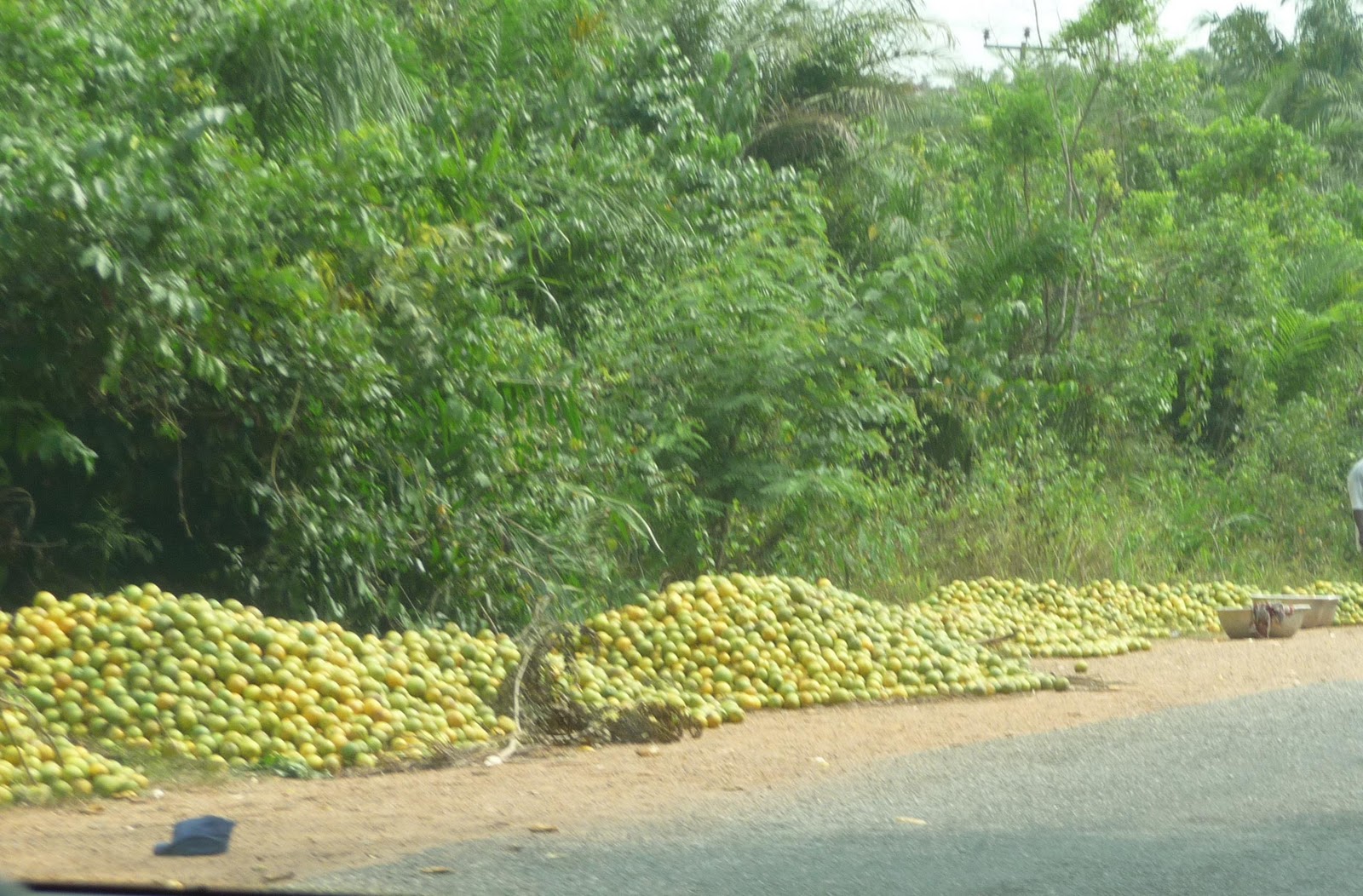 Maughans in Africa Monday 10 January 2011