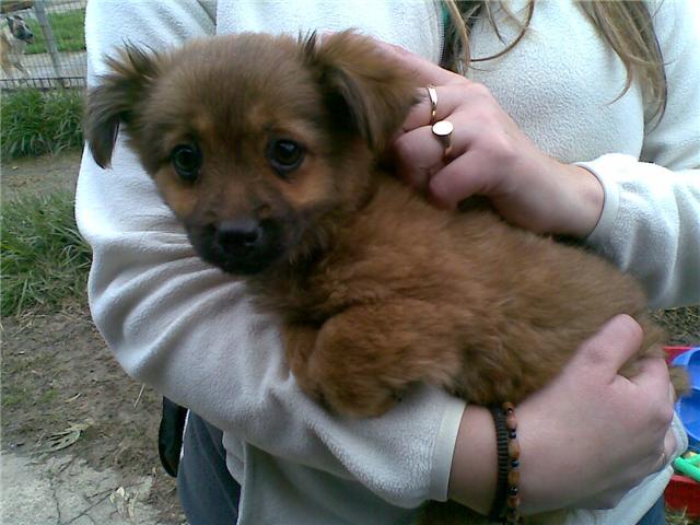 TaTi, adoptada el 20 de febrero 2009!
