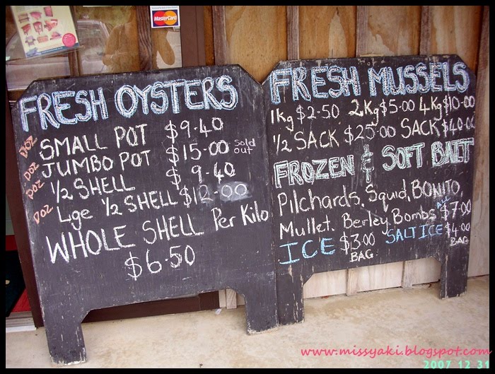 Explore The Wonder of The World The Coromandel Oyster Company Coromandel