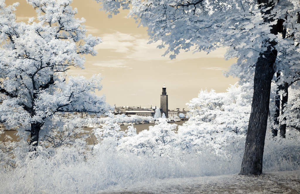 Excellent Examples of Infrared Photography