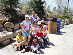 My fam at the Hogle Zoo